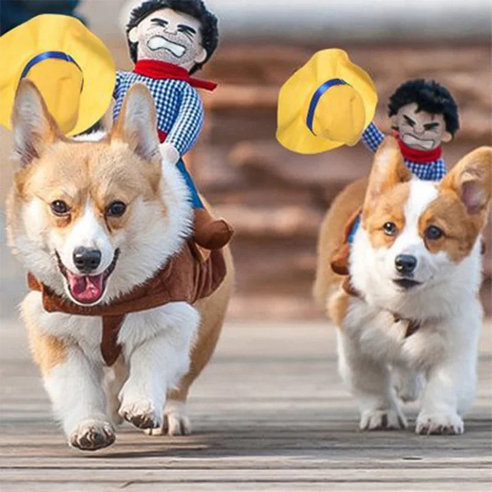 Funny Cowboy Jacket & Coat for Small to Large Dogs - Image 4